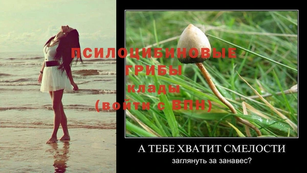 мефедрон мука Новодвинск