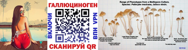 Галлюциногенные грибы GOLDEN TEACHER Куса